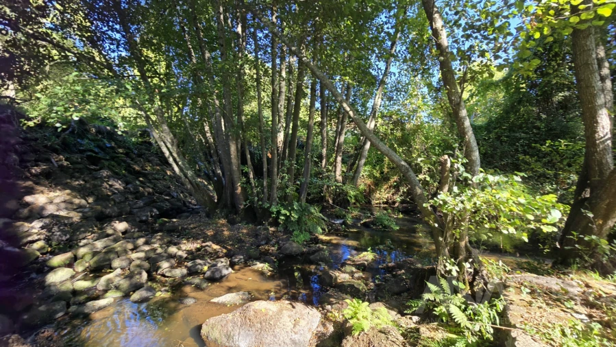 Quinta T3 para Venda em Fragosela Foto 32