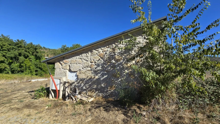 Quinta T3 para Venda em Fragosela Foto 6