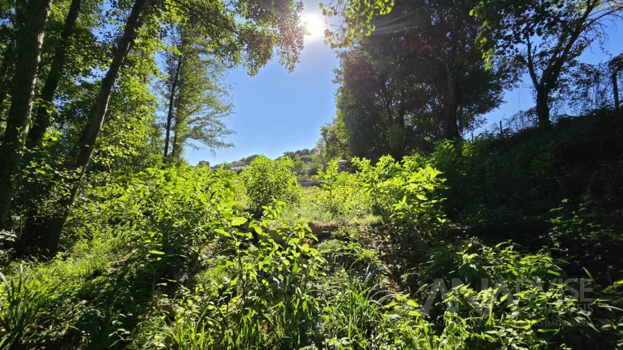 Quinta T3 para Venda em Fragosela Foto 34