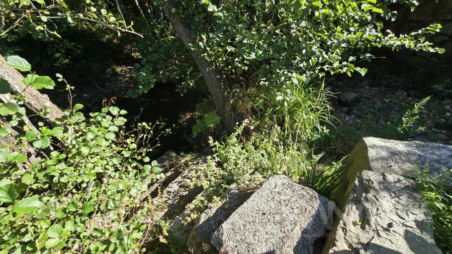 Quinta T3 para Venda em Fragosela Foto 29