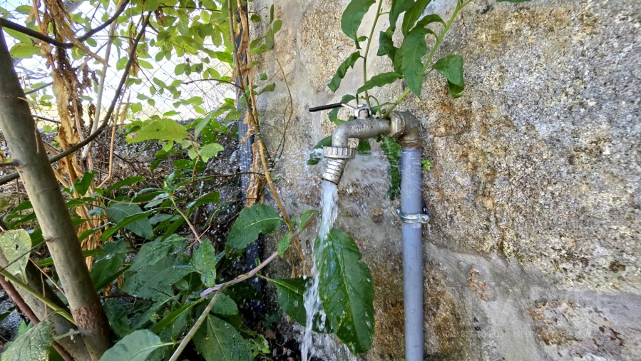 Quinta T3 para Venda em Fragosela Foto 10