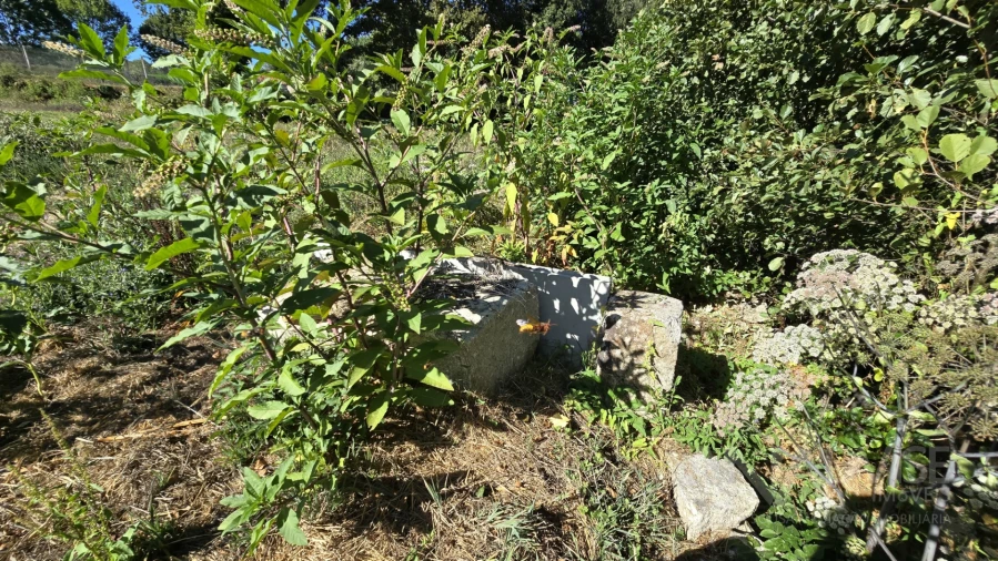 Quinta T3 para Venda em Fragosela Foto 27