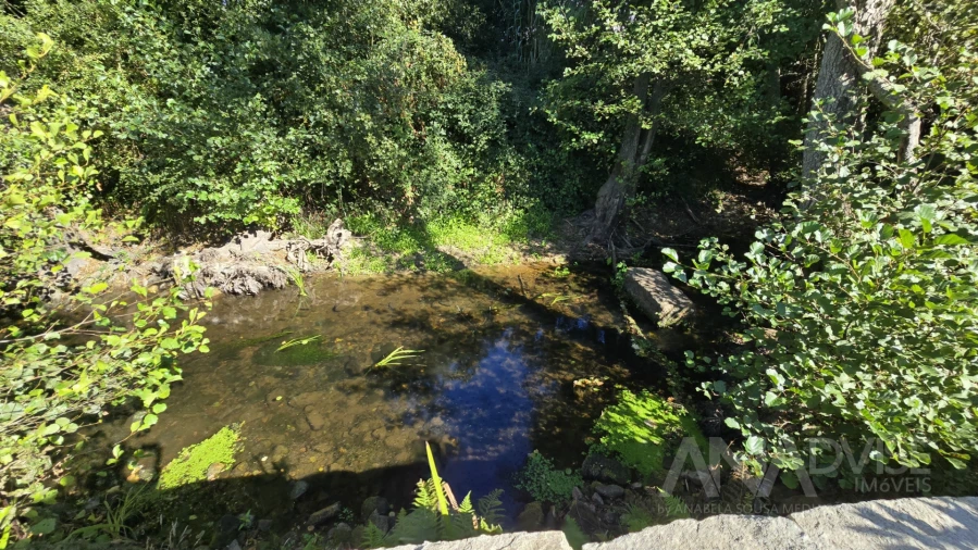 Quinta T3 para Venda em Fragosela Foto 28