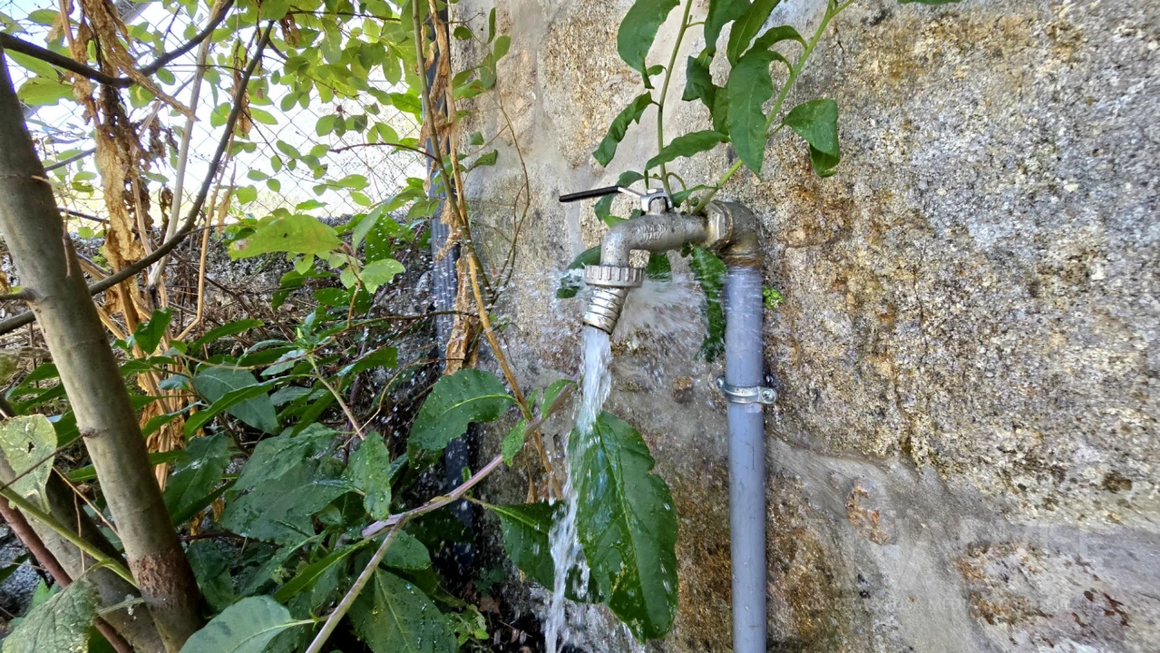 Quinta T3 para Venda em Fragosela Foto 10