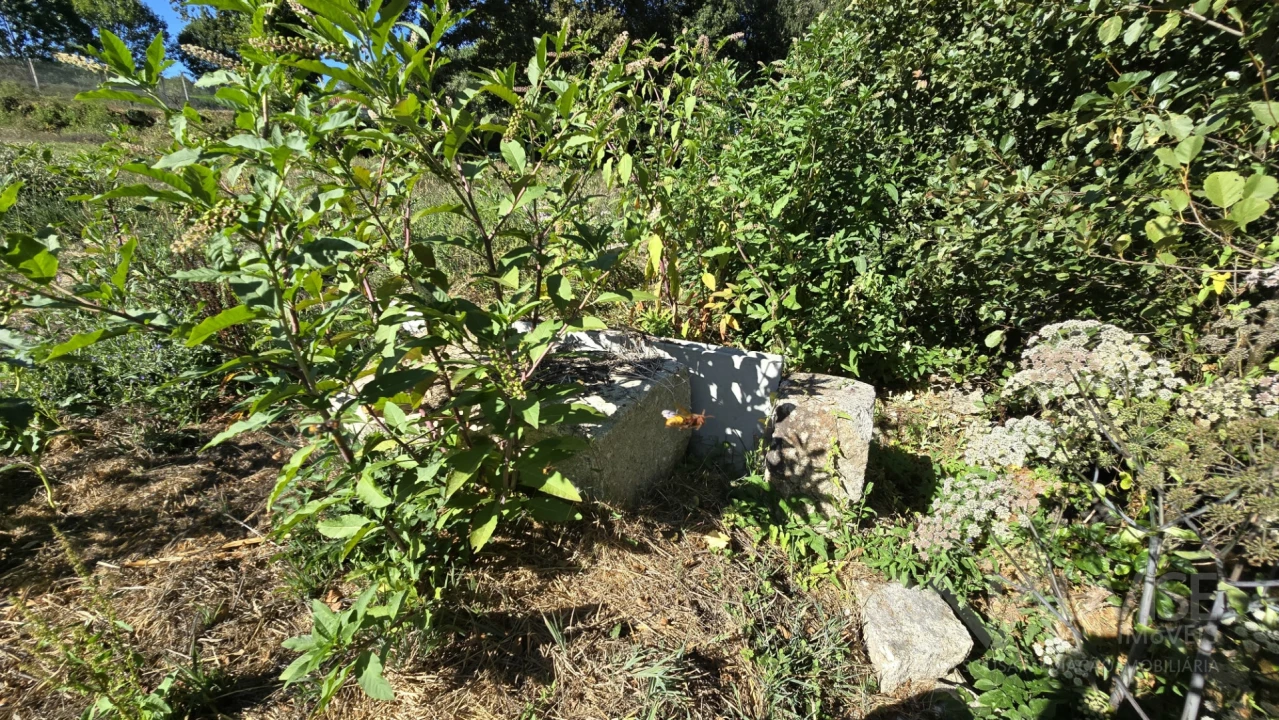 Quinta T3 para Venda em Fragosela Foto 27