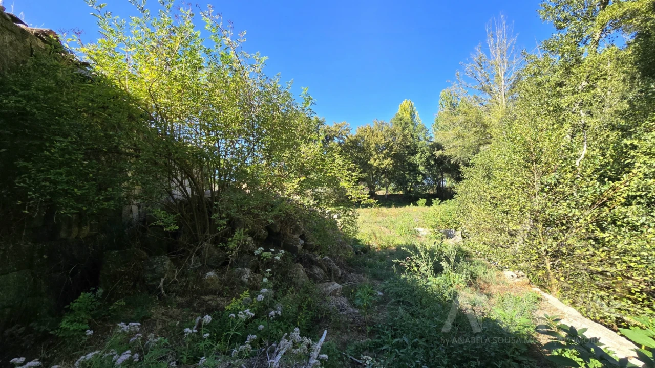 Quinta T3 para Venda em Fragosela Foto 31