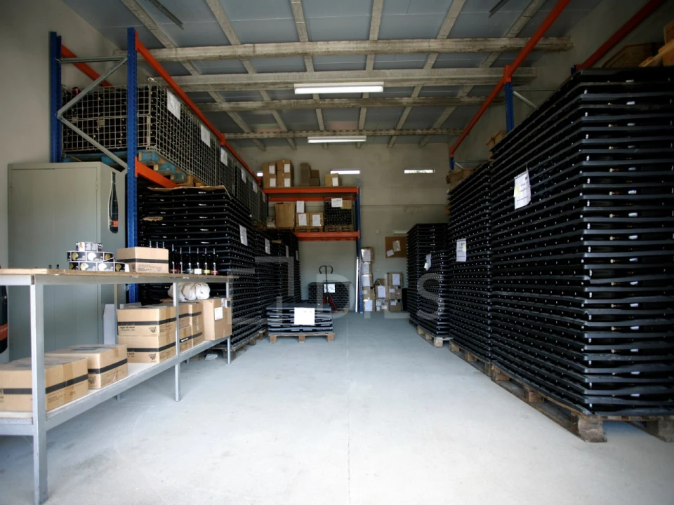 Quinta T7 para Venda em Mangualde, Mesquitela e Cunha Alta Foto 17