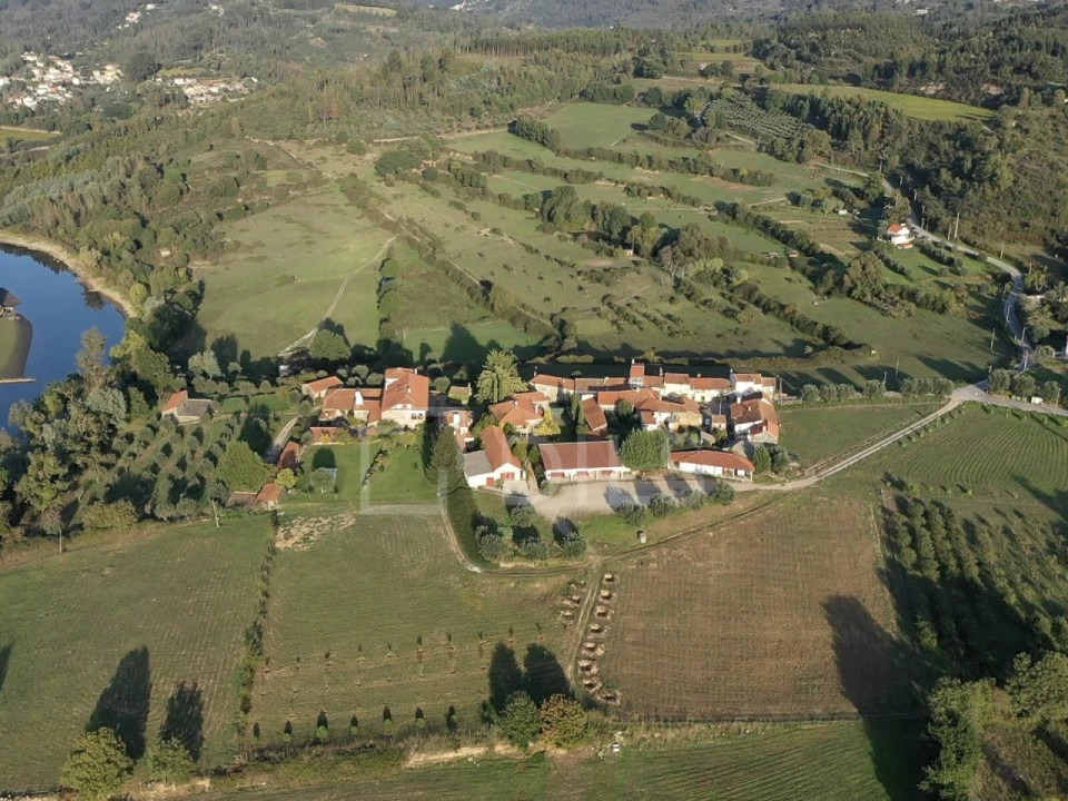 Quinta T7 para Venda em Mangualde, Mesquitela e Cunha Alta Foto 24