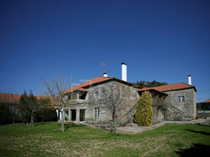 Quinta T7 para Venda em Mangualde, Mesquitela e Cunha Alta Foto 14