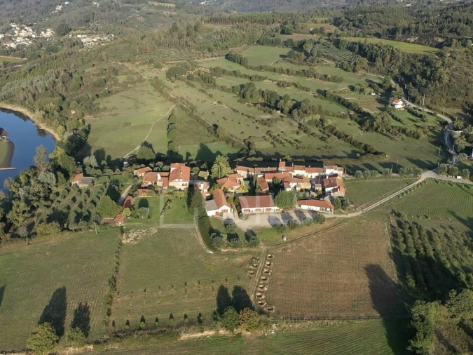 Quinta T7 para Venda em Mangualde, Mesquitela e Cunha Alta Foto 24