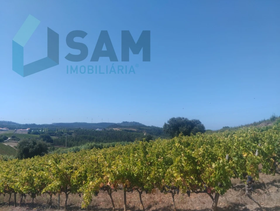 Terreno para Venda em Maxial e Monte Redondo Foto 3