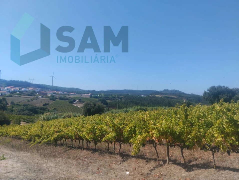 Terreno para Venda em Maxial e Monte Redondo Foto 4