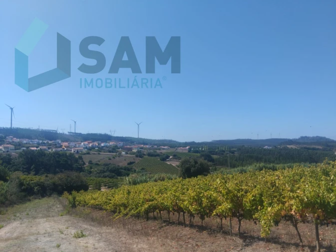 Terreno para Venda em Maxial e Monte Redondo Foto 2