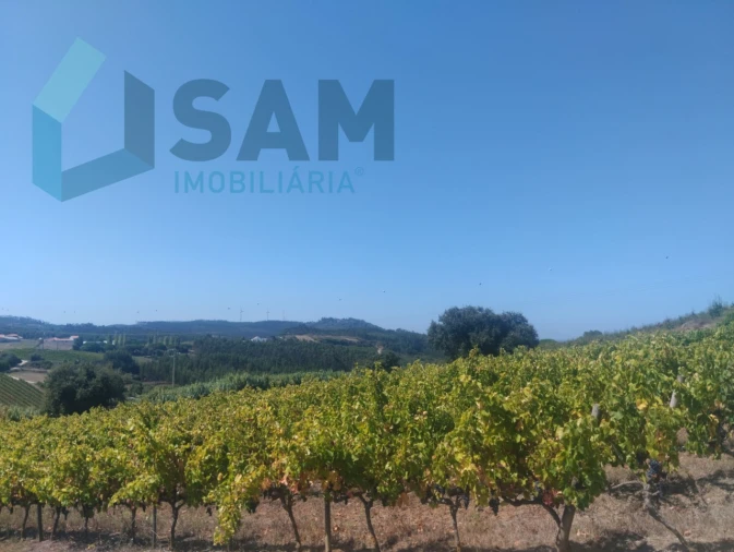 Terreno para Venda em Maxial e Monte Redondo Foto 3