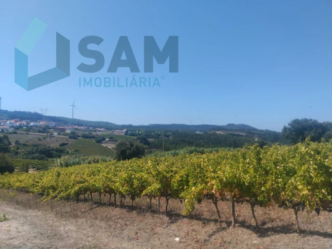 Terreno para Venda em Maxial e Monte Redondo Foto 4