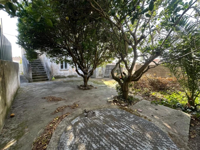 Prédio para Venda em Valado dos Frades Foto 4