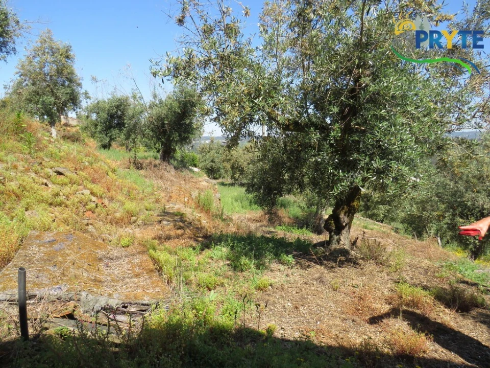 Moradia T3 para Venda em Sertã Foto 17