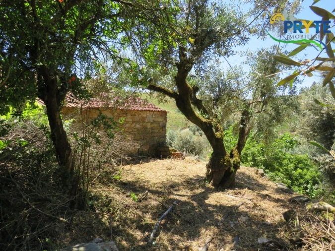 Moradia T3 para Venda em Sertã Foto 48