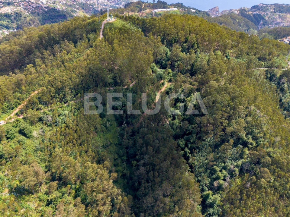 Terreno para Venda em Campanario Foto 3