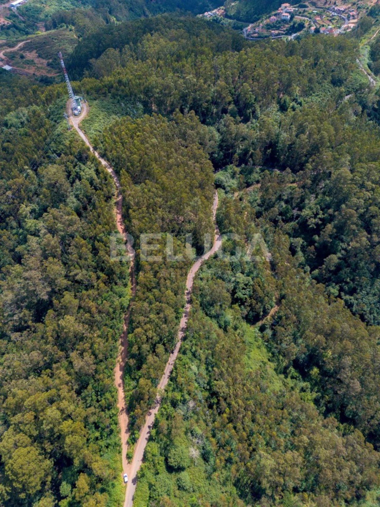 Terreno para Venda em Campanario Foto 13