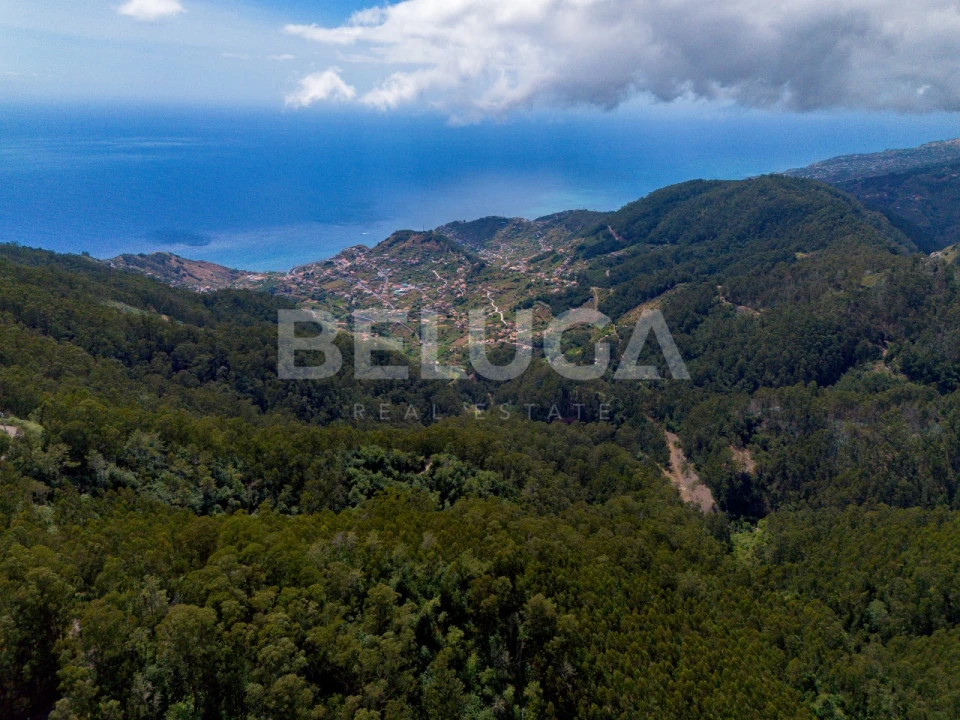 Terreno para Venda em Campanario Foto 15
