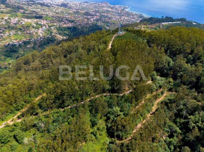 Terreno para Venda em Campanario Foto 2