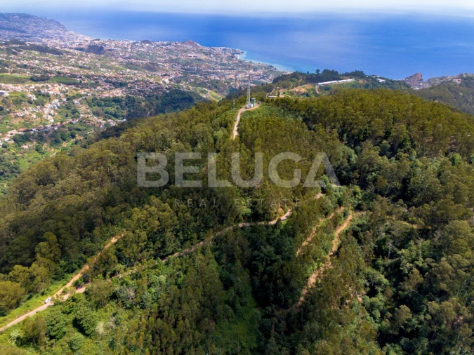 Terreno para Venda em Campanario Foto 4