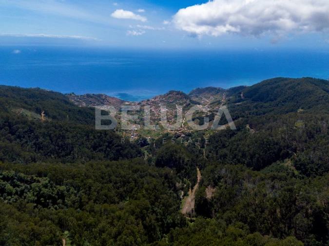 Terreno para Venda em Campanario Foto 5