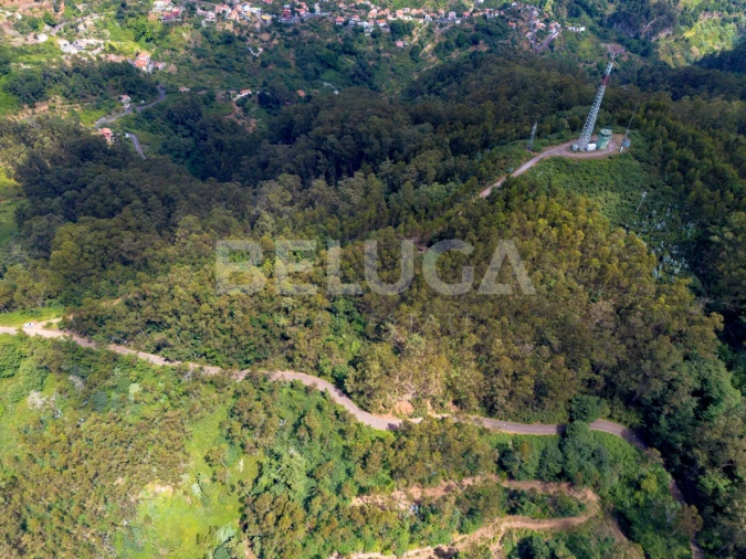 Terreno para Venda em Campanario Foto 12