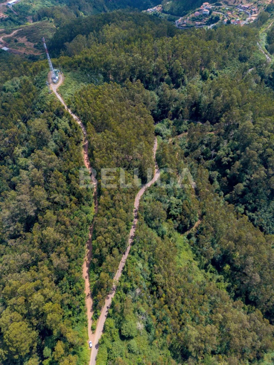 Terreno para Venda em Campanario Foto 13