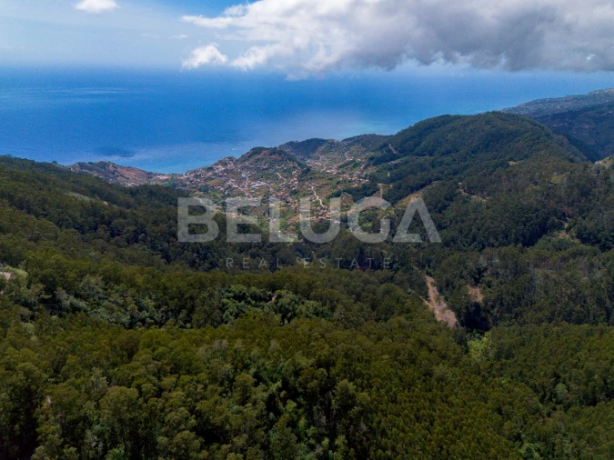 Terreno para Venda em Campanario Foto 15