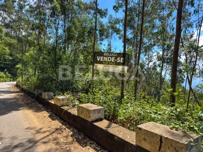 Terreno para Venda em Campanario Foto 20