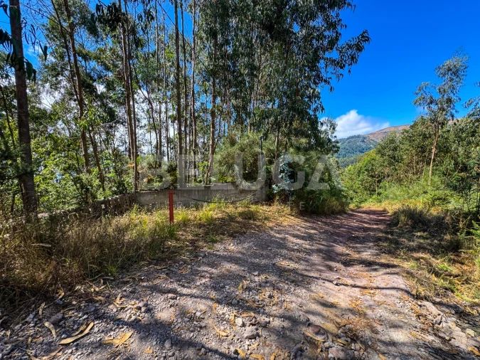 Terreno para Venda em Campanario Foto 28