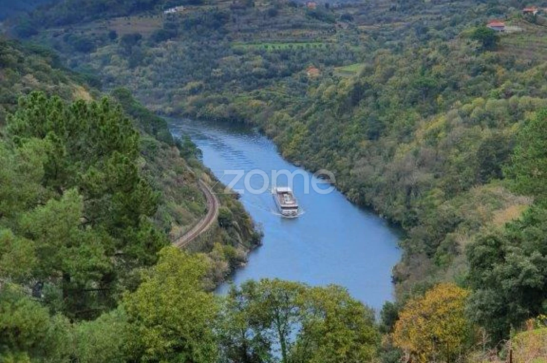 Quinta T12 para Venda em São Martinho de Mouros Foto 10
