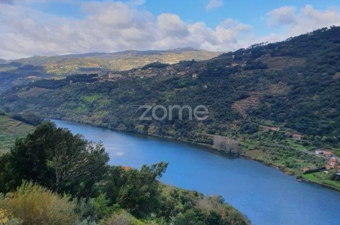 Quinta T12 para Venda em São Martinho de Mouros Foto 13