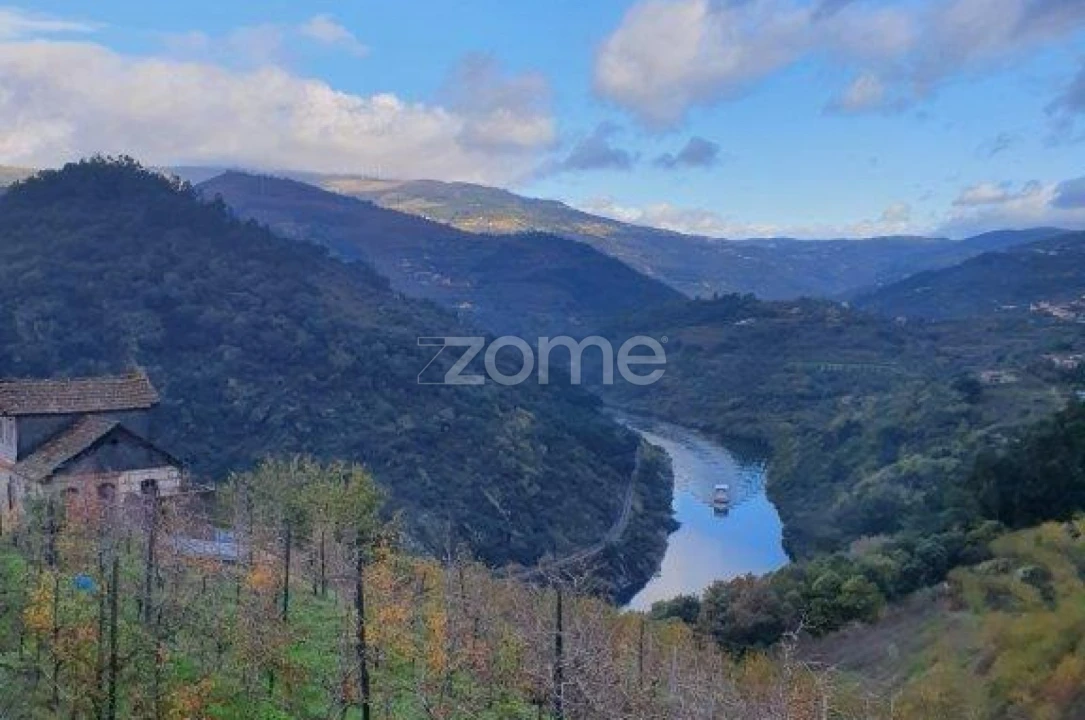 Quinta T12 para Venda em São Martinho de Mouros Foto 14