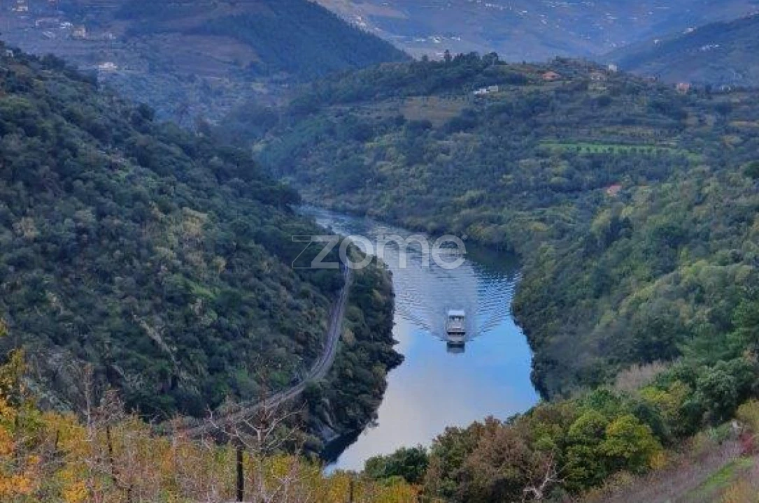 Quinta T12 para Venda em São Martinho de Mouros Foto 16