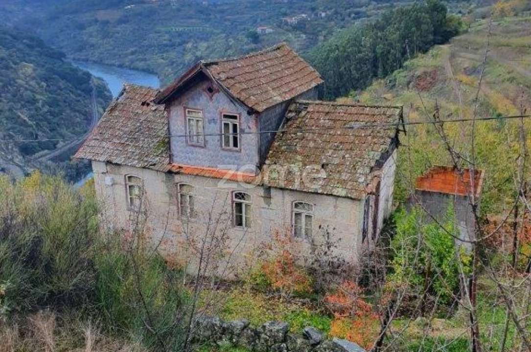Quinta T12 para Venda em São Martinho de Mouros Foto 3