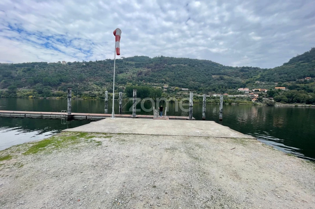 Quinta T12 para Venda em São Martinho de Mouros Foto 18