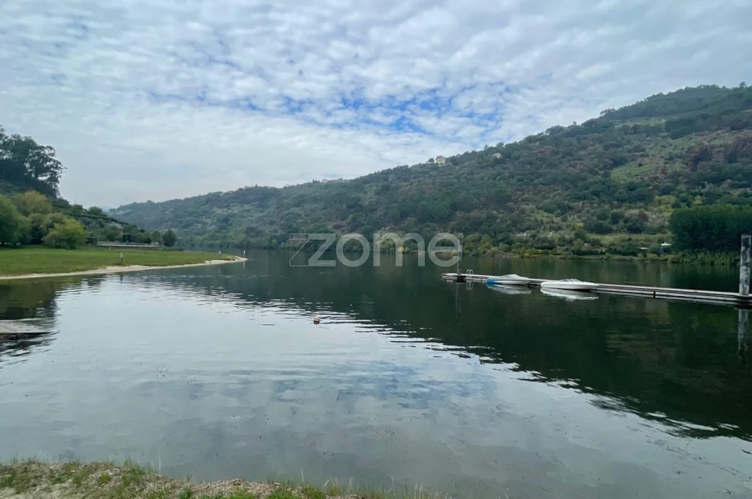 Quinta T12 para Venda em São Martinho de Mouros Foto 20