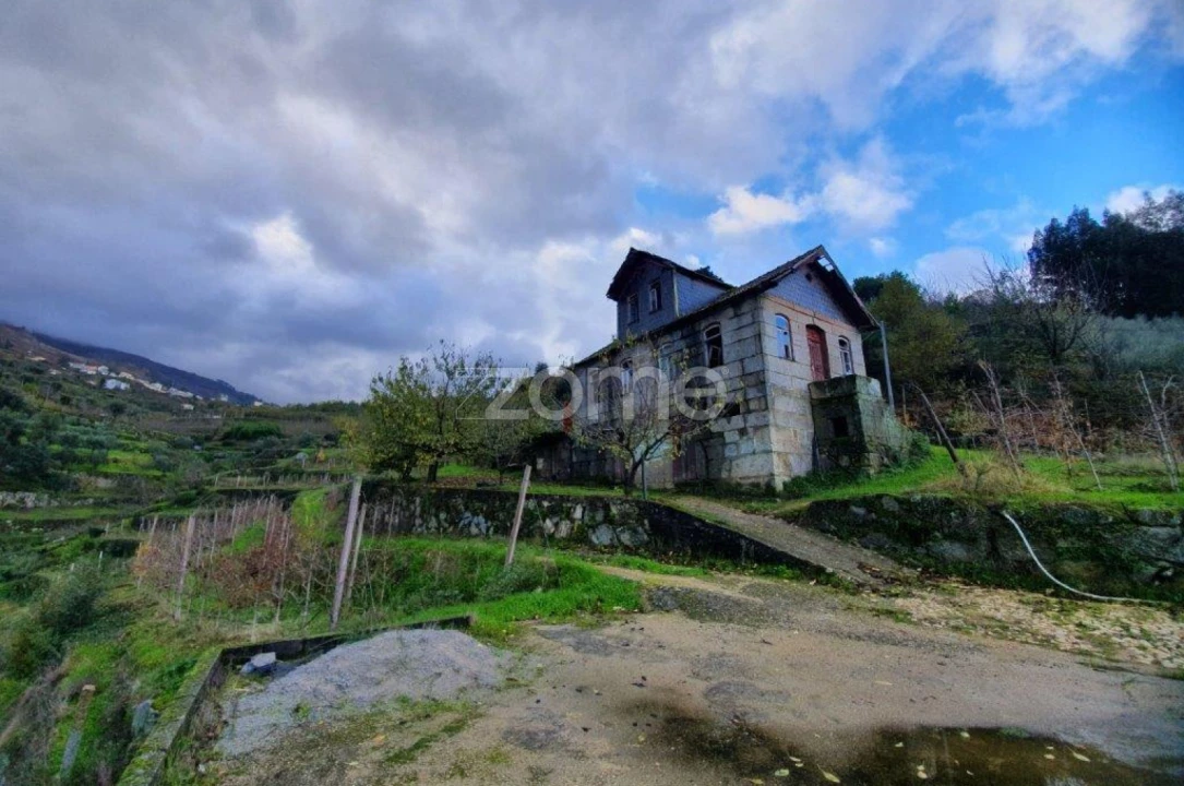 Quinta T12 para Venda em São Martinho de Mouros Foto 4