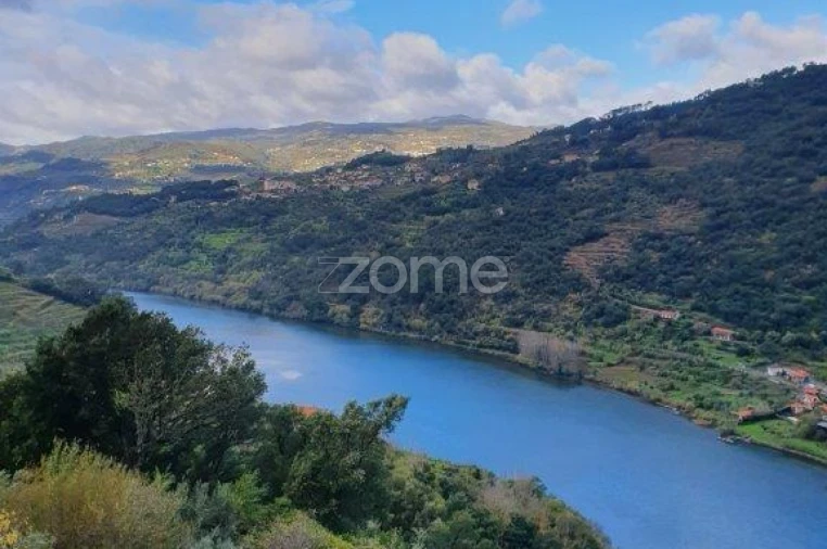 Quinta T12 para Venda em São Martinho de Mouros Foto 13