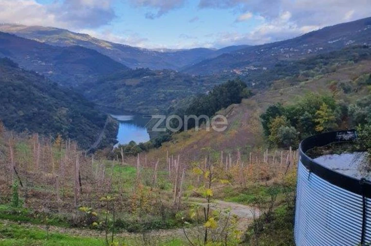 Quinta T12 para Venda em São Martinho de Mouros Foto 15