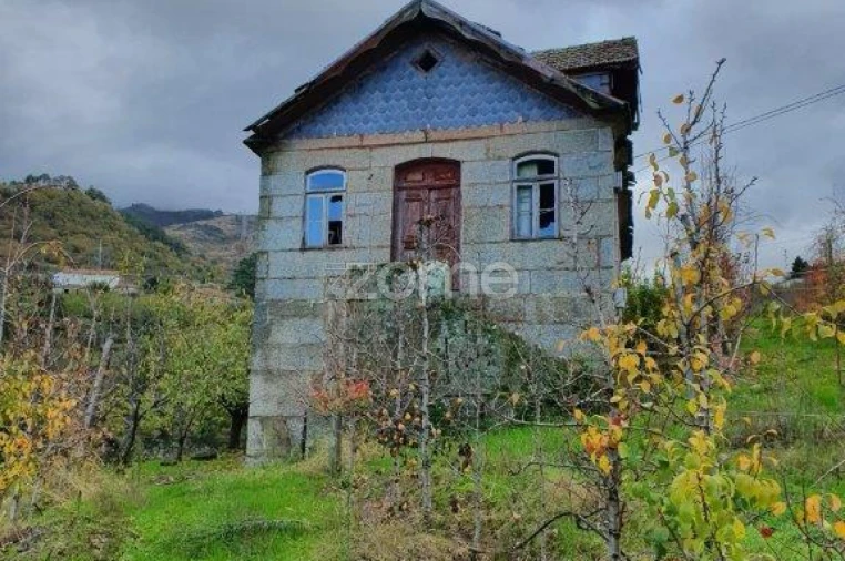 Quinta T12 para Venda em São Martinho de Mouros Foto 2