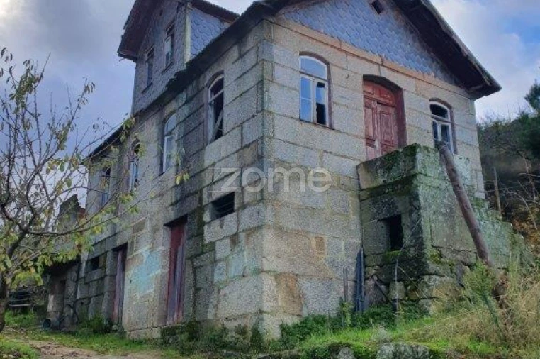 Quinta T12 para Venda em São Martinho de Mouros Foto 5