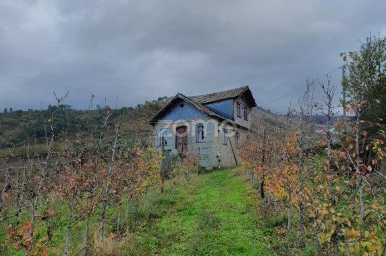 Quinta T12 para Venda em São Martinho de Mouros Foto 9