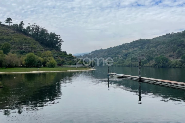 Quinta T12 para Venda em São Martinho de Mouros Foto 17