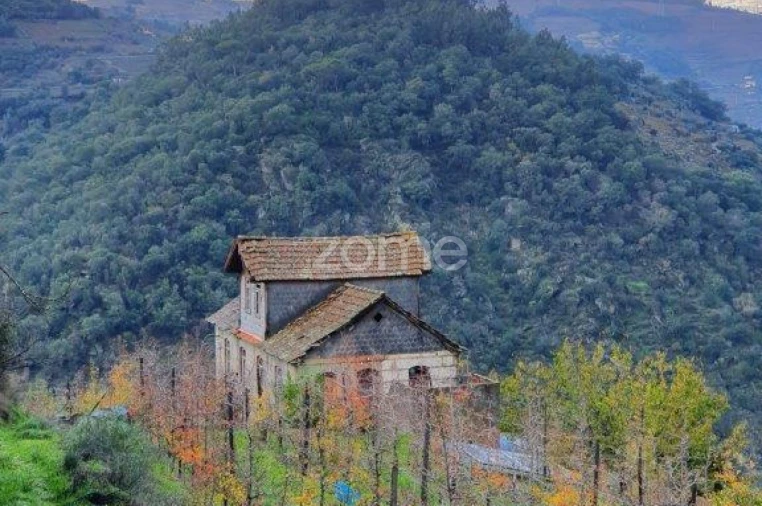 Quinta T12 para Venda em São Martinho de Mouros Foto 7