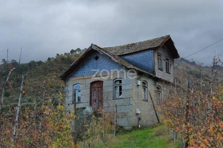 Quinta T12 para Venda em São Martinho de Mouros Foto 6