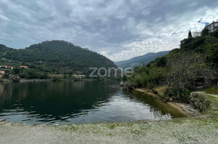 Quinta T12 para Venda em São Martinho de Mouros Foto 19